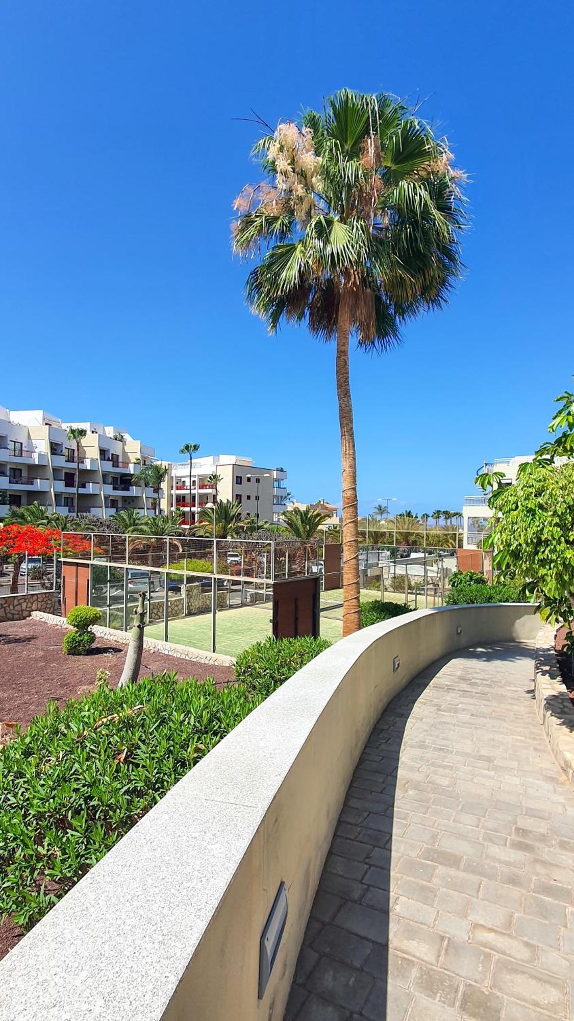 Terraza Sea & Sun Apartment Palm-mar Exterior foto
